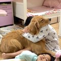 大型犬のドラマティ…