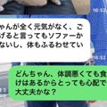 父から『犬の元気が…
