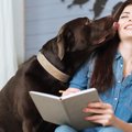 実はNG？愛犬とキス…