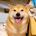 雷が怖くて押し入れ…