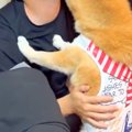 息子が家に遊びに来…