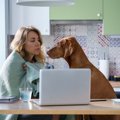 『貧乏な人』が犬を…