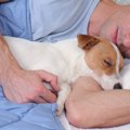 愛犬が一緒に寝てく…