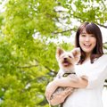 犬を無理やり抱っこ…