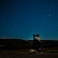 愛犬が失った『暗い…