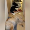 夜、トイレに行こう…