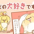ただの犬好きです。…
