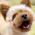 『病院行くよ』と言…