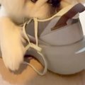 『パパの靴のニオイ…