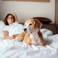 嬉しい～♡犬が『飼い…