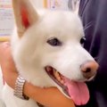 病院で緊張している…