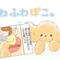 ふわふわぽこ。【第9…