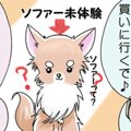 かわうそちわわ。（5…