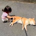 1歳の女の子と犬が散…