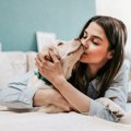 犬にするべきではな…