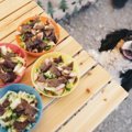犬は手作りごはんに…