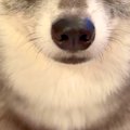 スマホをいじってい…