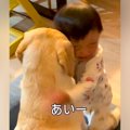 子どもが大型犬にち…