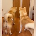 『５ヶ月ぶりの再会…