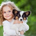 犬の飼い方やしつけ…