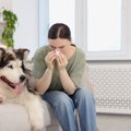 『抜け毛が多い犬』…