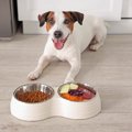 犬にとって『危険な…