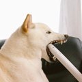 あれ、なぜここに？…