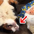 眠っている赤ちゃん…