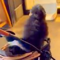 『病院に注射をしに…