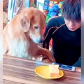 犬の目の前で『パン…