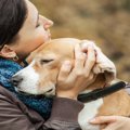 犬の性格が突然変わ…