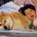 赤ちゃんと一緒に育…