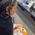 美容室で『看板犬』…