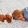 犬が子どもが泣いて…