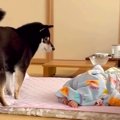 寝ている赤ちゃんの…