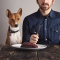 犬の唾液には消化酵…