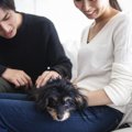 飼い主が『気付きに…