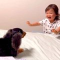 1歳の女の子が『犬と…