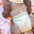 初めて病院に来た子…