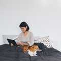 犬が『飼い主から離…