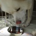 おやつタイプでもや…