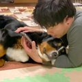 超大型犬の前でスマ…