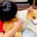 男の子に『くさい』…