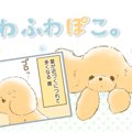 ふわふわぽこ。【第4…