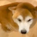 息子の付き添い入院…