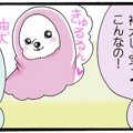 かわうそちわわ。（4…