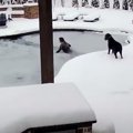 目を離さないで！真…