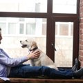 犬に『気持ちを伝え…