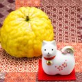 犬はゆずを食べちゃ…