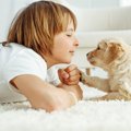 大好きな愛犬と『今…